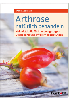 Buch-Cover