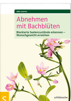 Buch-Cover