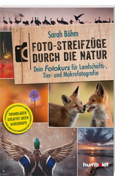 Buch-Cover