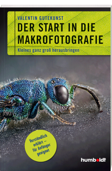 Buch-Cover